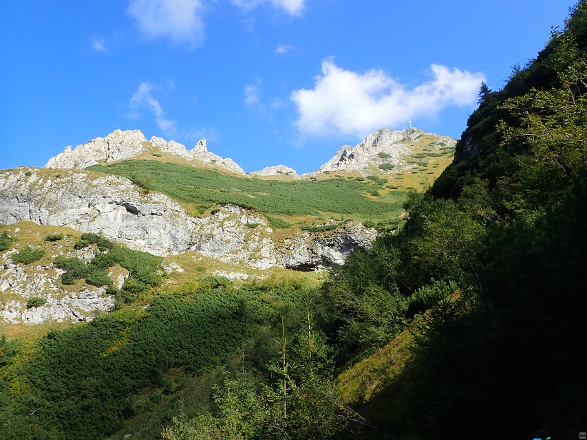 img00018.jpg