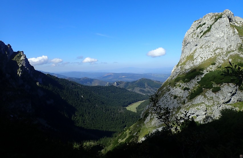 img00019.jpg