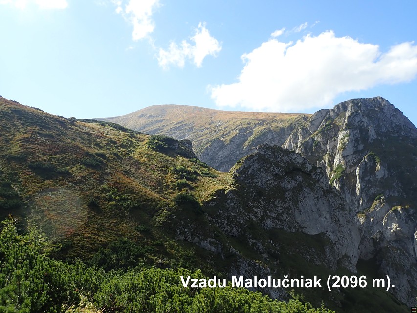 img00020.jpg
