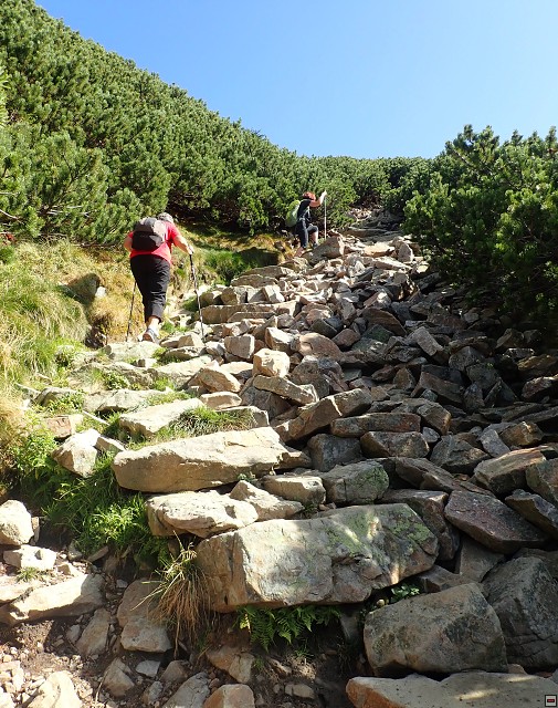 img00021.jpg