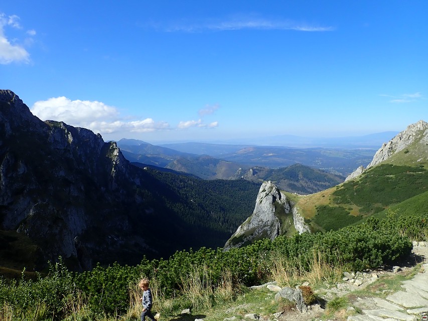 img00031.jpg