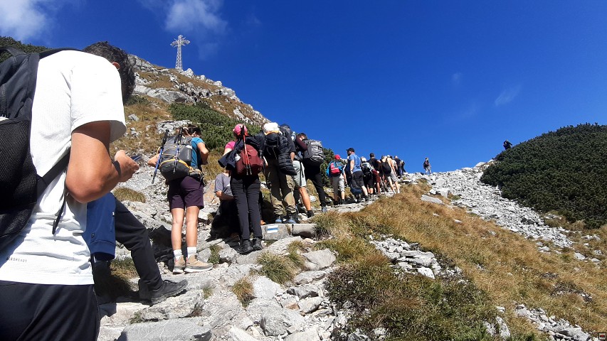 img00037.jpg