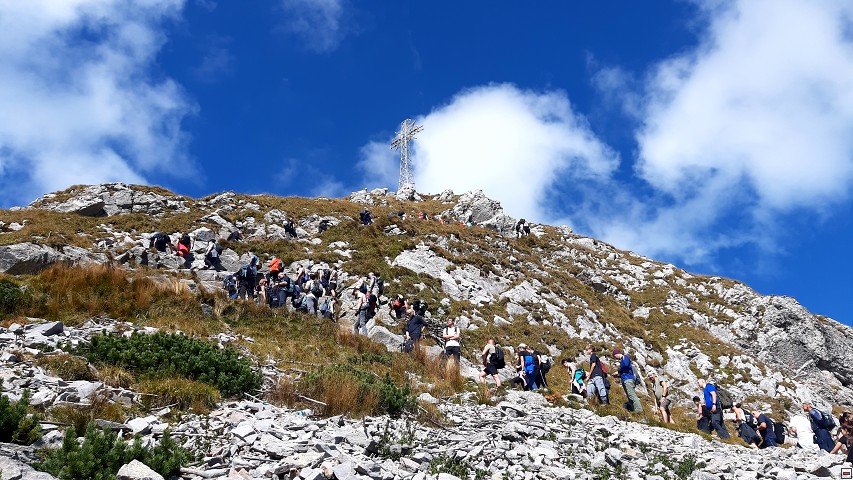 img00038.jpg