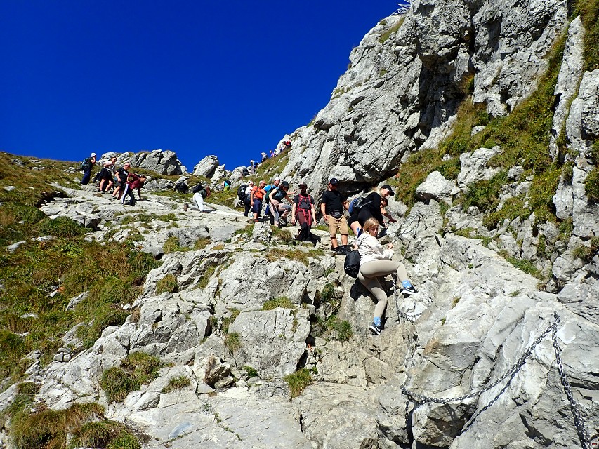 img00047.jpg