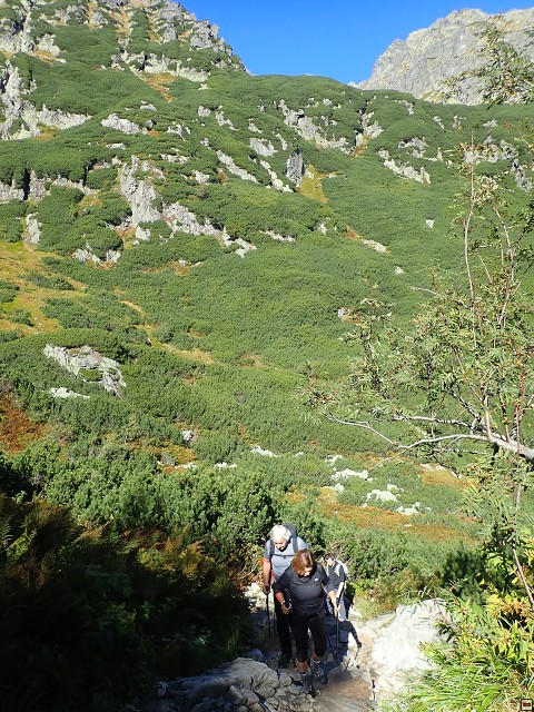 img00011.jpg
