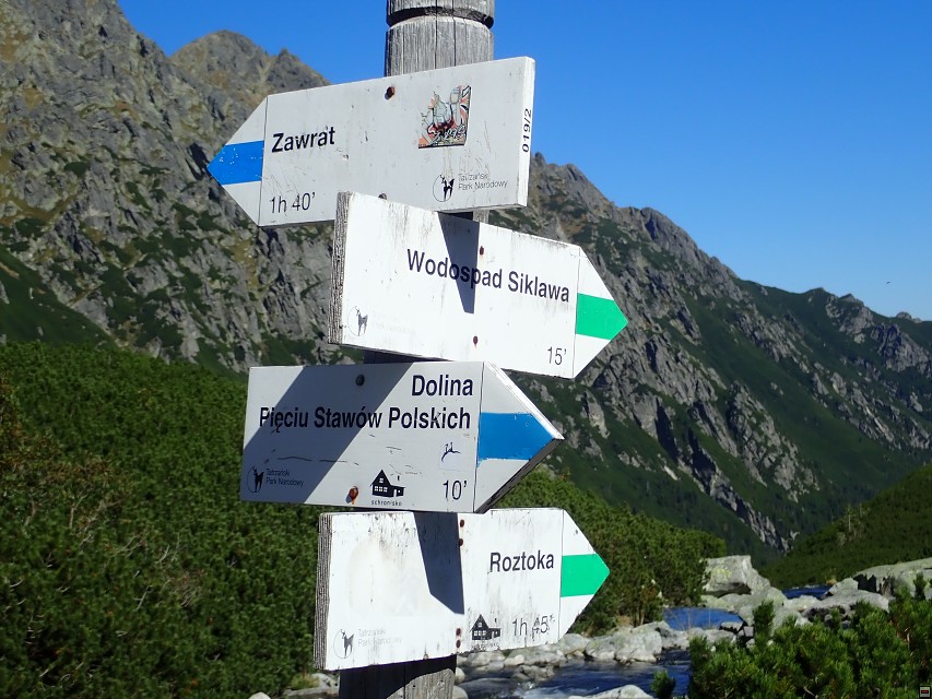 img00016.jpg