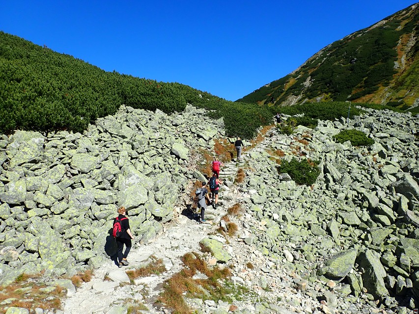 img00025.jpg