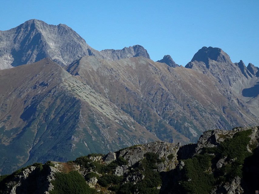 img00033.jpg
