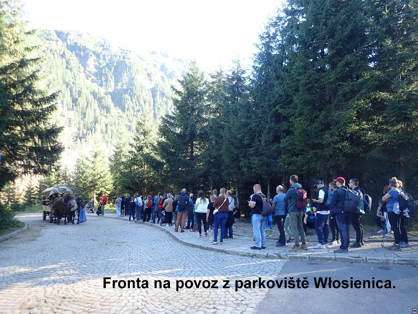 img00045.jpg