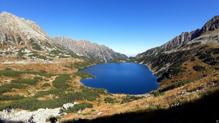 img00050.jpg