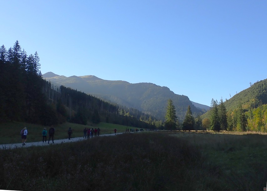 img00005.jpg