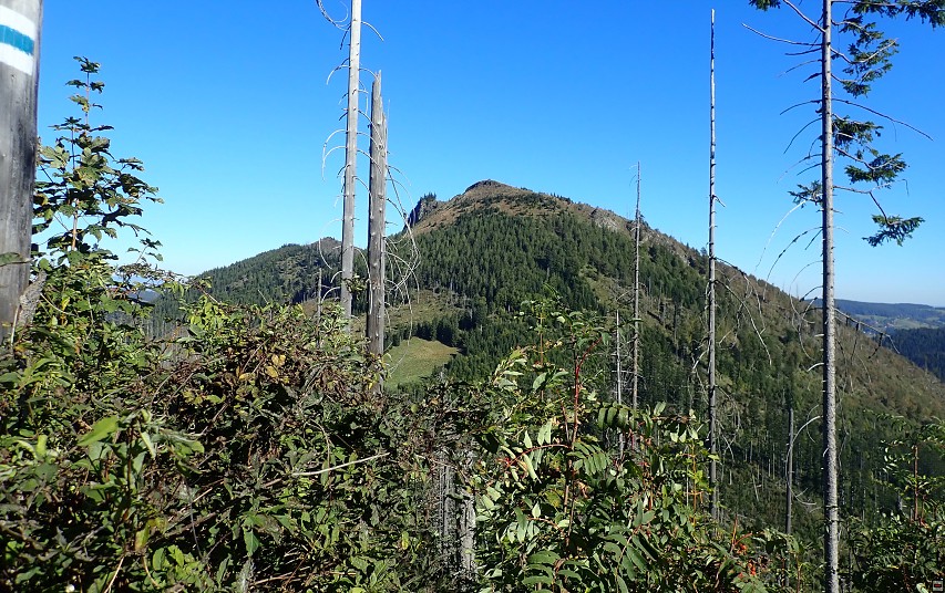 img00010.jpg