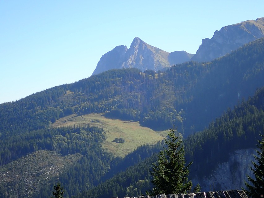 img00015.jpg