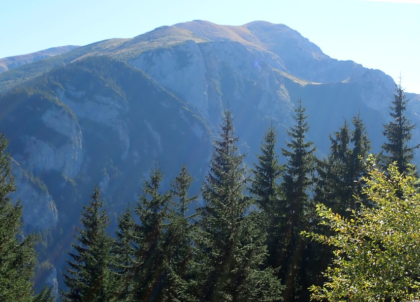 img00016.jpg