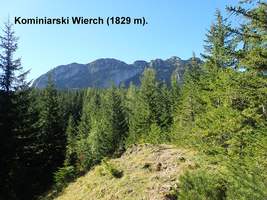 img00022.jpg