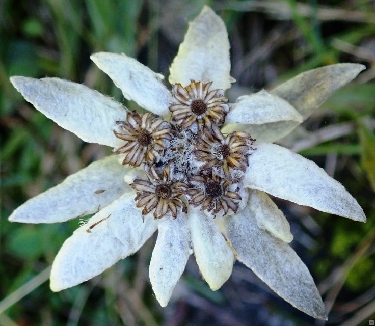 img00024.jpg