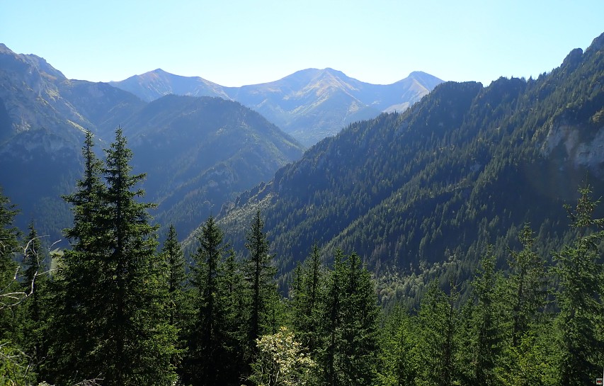 img00026.jpg
