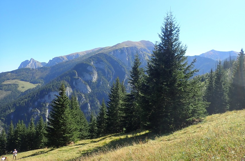 img00030.jpg