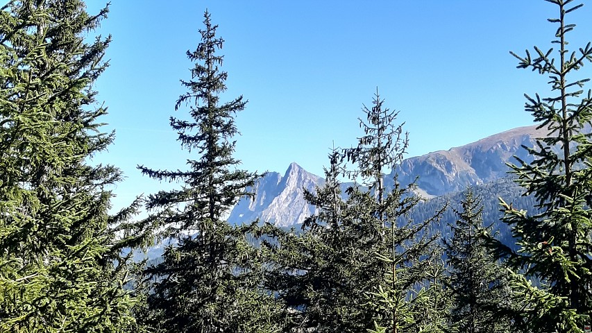 img00031.jpg