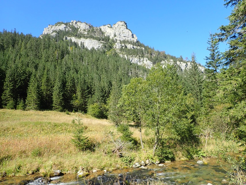 img00033.jpg