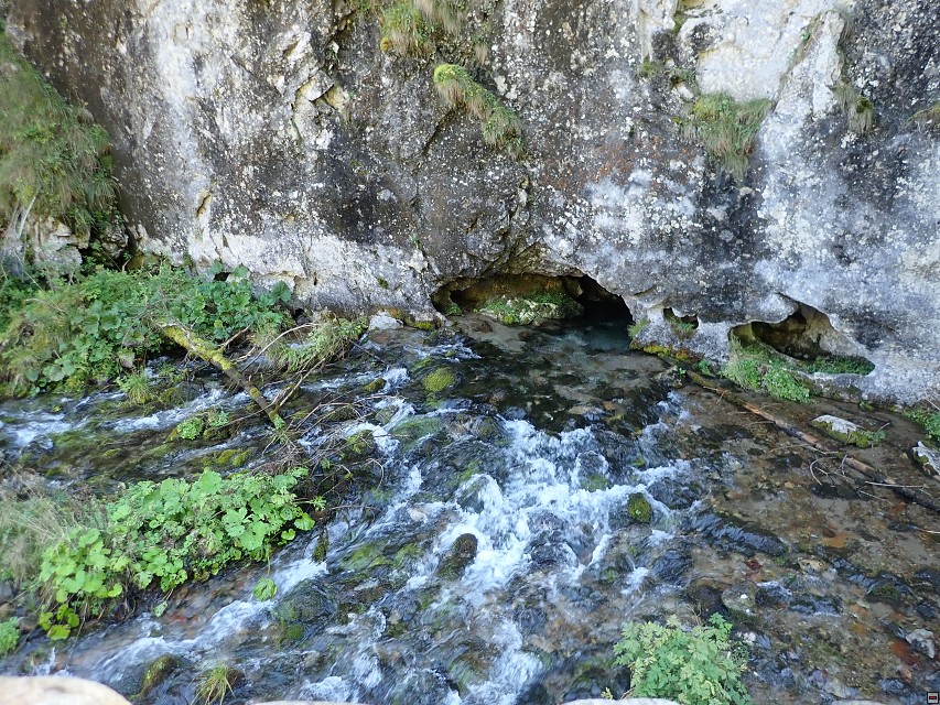 img00037.jpg