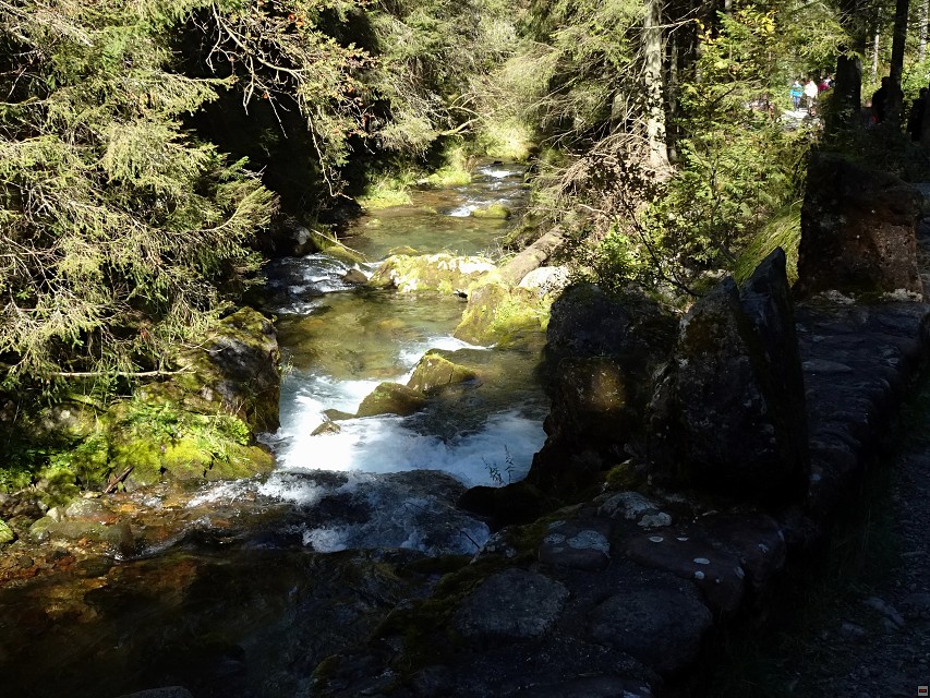 img00038.jpg