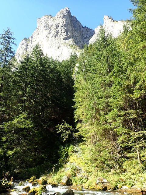 img00039.jpg