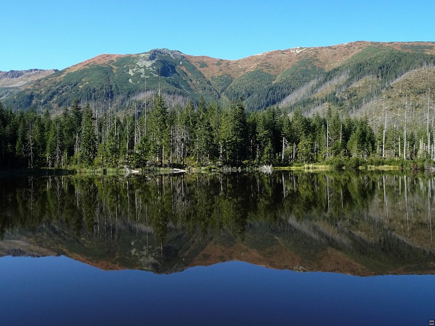 img00059.jpg