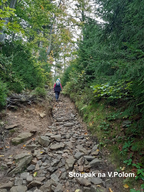 img00008.jpg