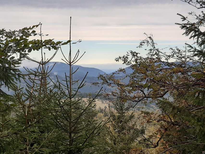 img00010.jpg