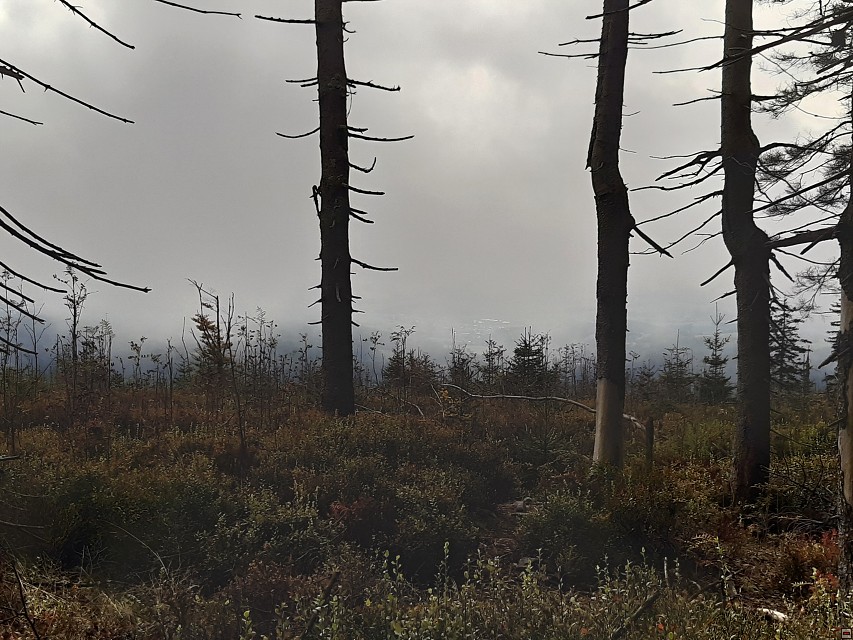 img00014.jpg