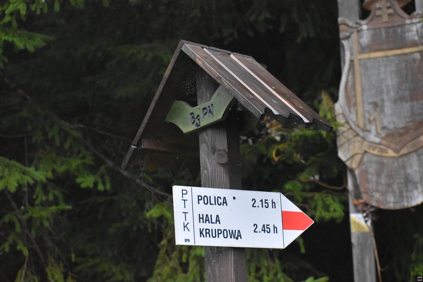 img00005.jpg