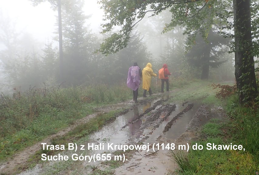img00037.jpg