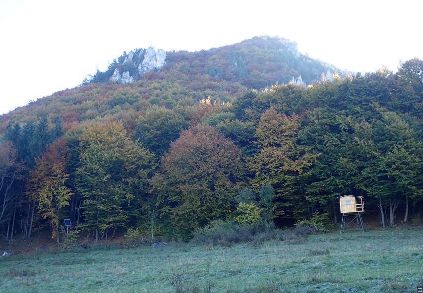 img00009.jpg