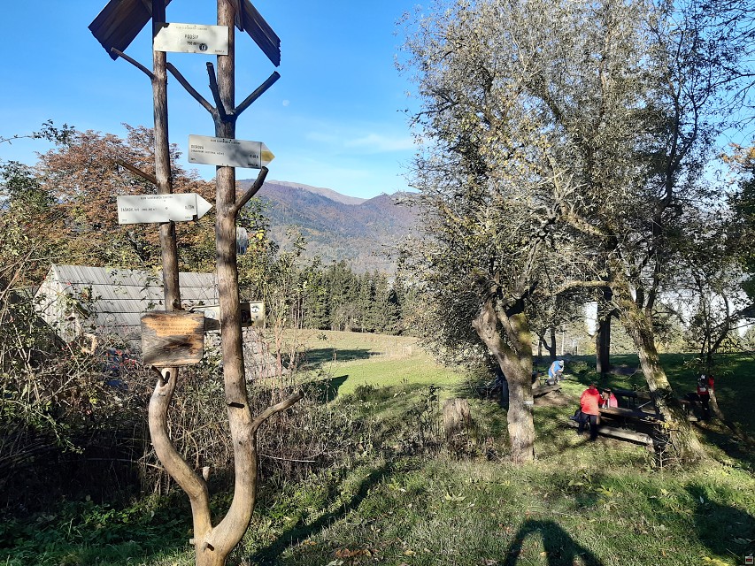 img00019.jpg