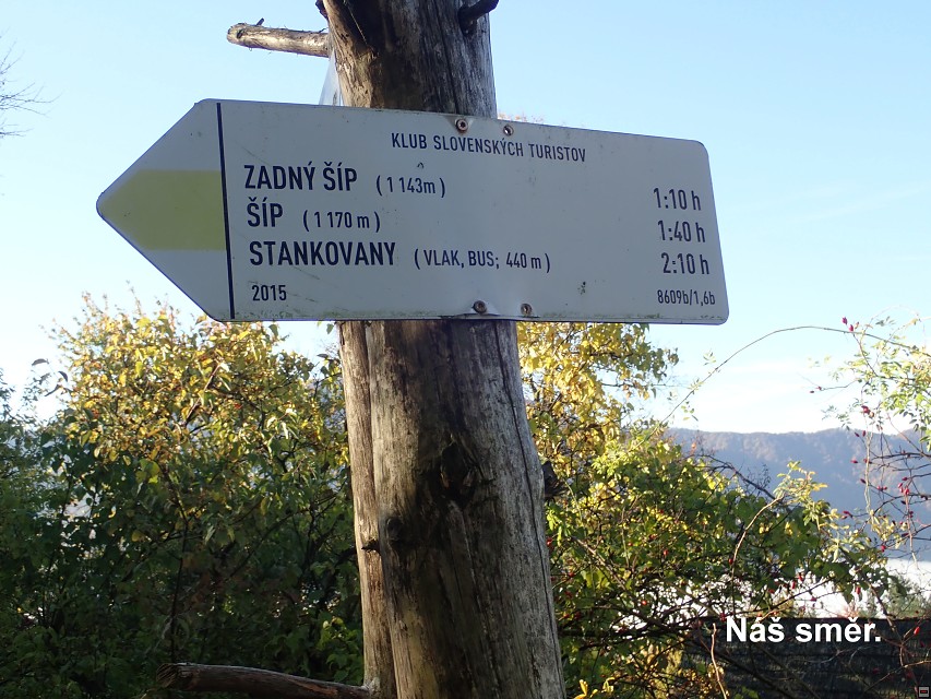 img00020.jpg