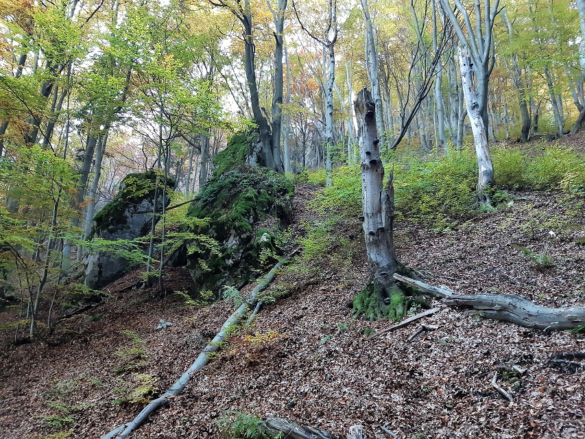 img00024.jpg