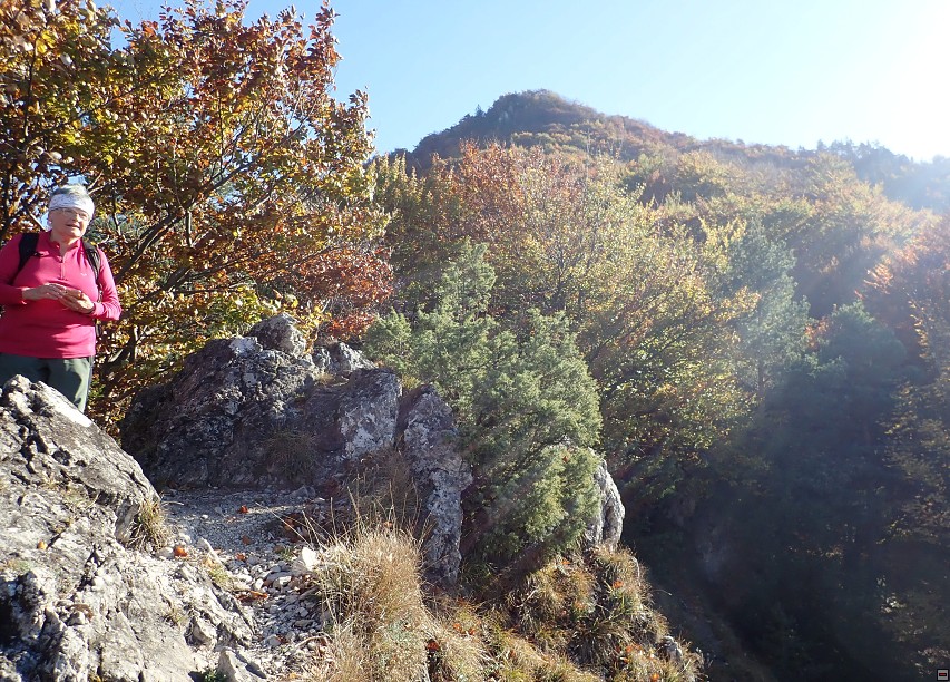img00029.jpg