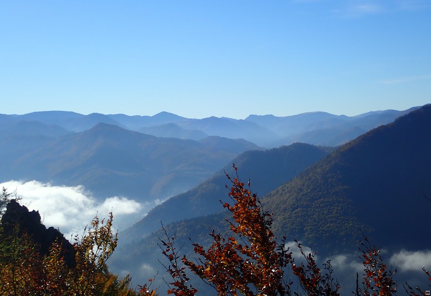 img00030.jpg
