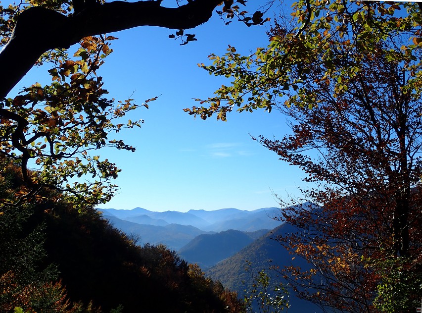 img00035.jpg