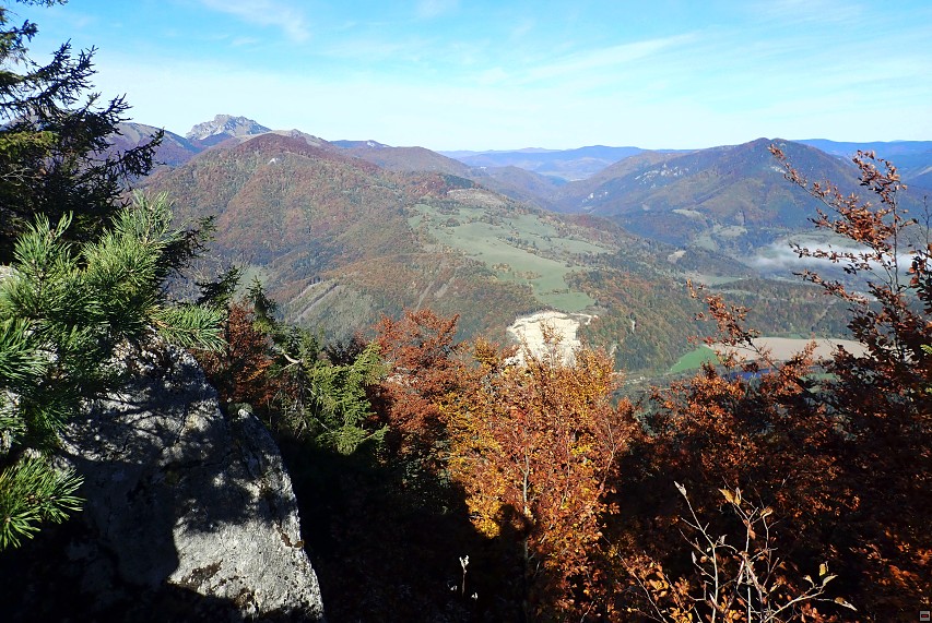 img00059.jpg