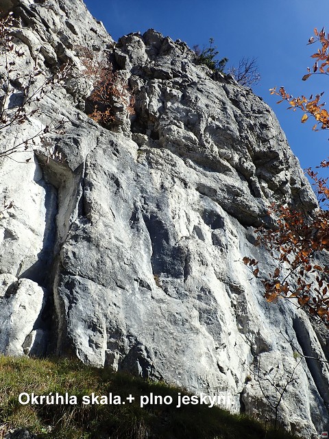 img00069.jpg