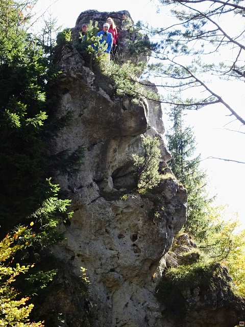 img00074.jpg