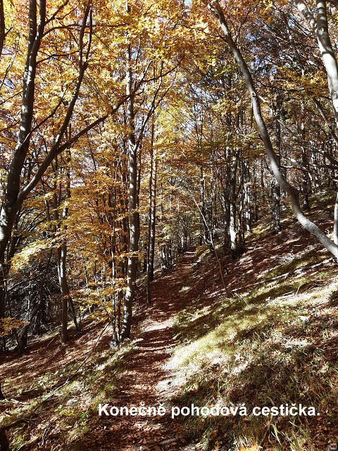 img00078.jpg