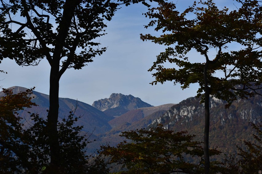 img00104.jpg