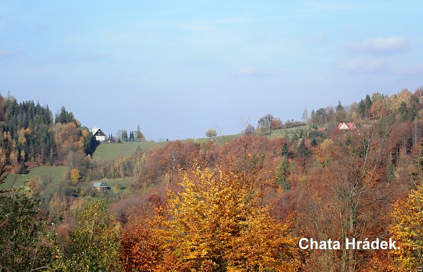 img00007.jpg