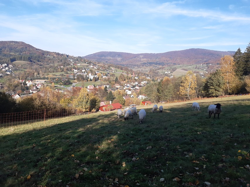 img00036.jpg