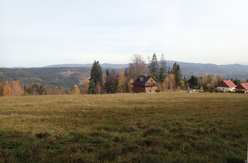 img00030.jpg