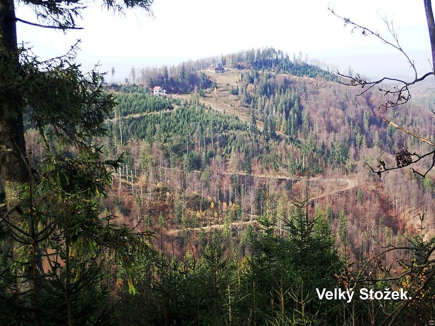 img00040.jpg