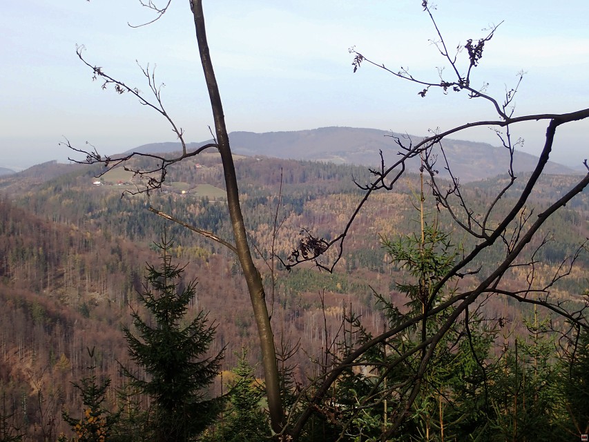 img00041.jpg